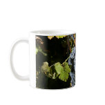 Grape Vineyard 2 Coffee Mugs