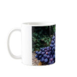 Grape Vineyard Mug