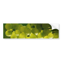 Grapes Bumper Sticker