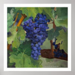 "Grapes" by Tom Norr Poster