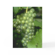 Grapes Card