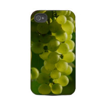 Grapes Tough Iphone 4 Cases