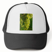 Grapes Mesh Hat