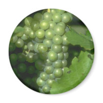 Grapes Magnet