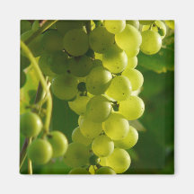 Grapes Magnet