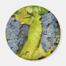 Grapes Magnet