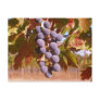 Grapes of California Post Cards