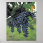 Grapes of Goodness Posters