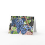 Grapes of Napa Valley Greeting Card