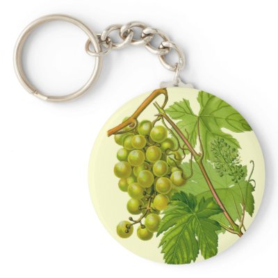 Grapes on the Vine Botanical Drawing Keychain by FalconsEye