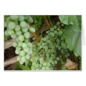 Grapes on the Vine - Napa and Tuscan Decor cards