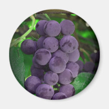 grapes refrigerator magnet
