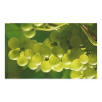 Grapes Rectangular Stickers