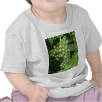 Grapes T-shirts