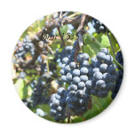 Grapes Vineyard John 15:5 Magnet
