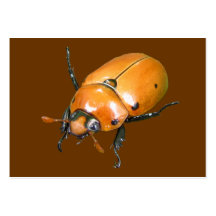 Grapevine Beetle ~ ATC Business Card
