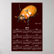 Grapevine beetle calender ~ print