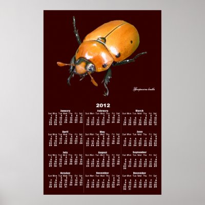 Grapevine beetle calender ~ print by Andy2302