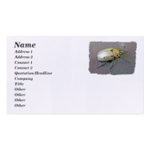 Grapevine Beetle (Pelidnota punctata)Business Card