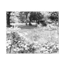 Grapevine Gallery Wrap Canvas
