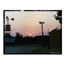 Grapevine Sunrise Postcard