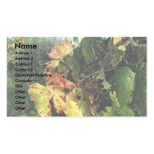 Grapevine, Tuscany, Italy Business Card