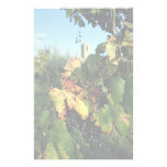 Grapevine, Tuscany, Italy Custom Stationery