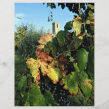 Grapevine, Tuscany, Italy Full Color Flyer