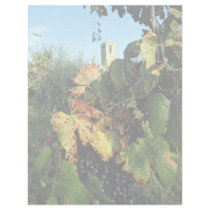 Grapevine, Tuscany, Italy Personalized Letterhead