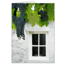 Grapevines Greeting Cards