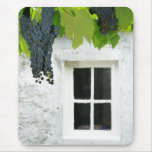 Grapevines Mousepads