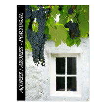 Grapevines Postcard