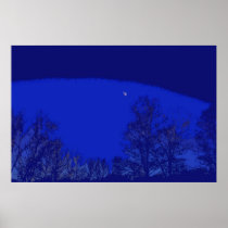 Graphic design poster - trees and deep blue sky