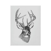 Graphique vintage d'art de cerfs communs toile tendue sur châssis