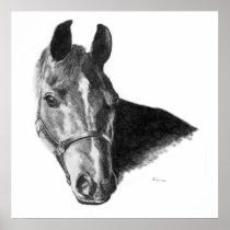 Graphite Horse Head Poster
