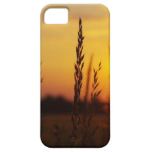 Gräser im Sonnenuntergang Etui Fürs iPhone 5