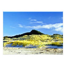 Grass Covered Dunes, Ninety Mile Beach, North Isla Invite
