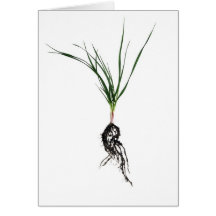 Grass face greeting cards