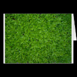 Grass cards