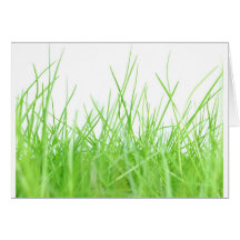 Grass Greeting Cards