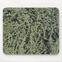 Grass growing on dry soil mousepads