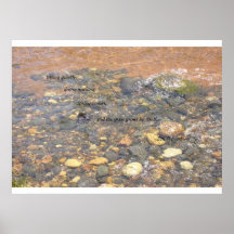 Grass Grows Poster