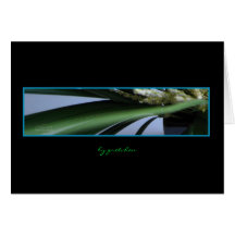 Grass, Heather Greeting Card-black background