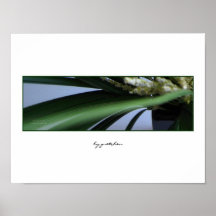 Grass, Heather Poster by gretchen-white background