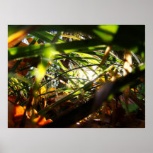 Grass in sunny forest print