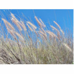 Grass In The Wind photo sculptures
