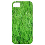 Grass iphone 5 case casemate cases