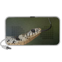Grass Snake iPhone Speakers