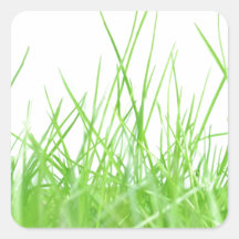 Grass Square Stickers