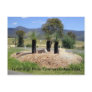 grass trees postcard